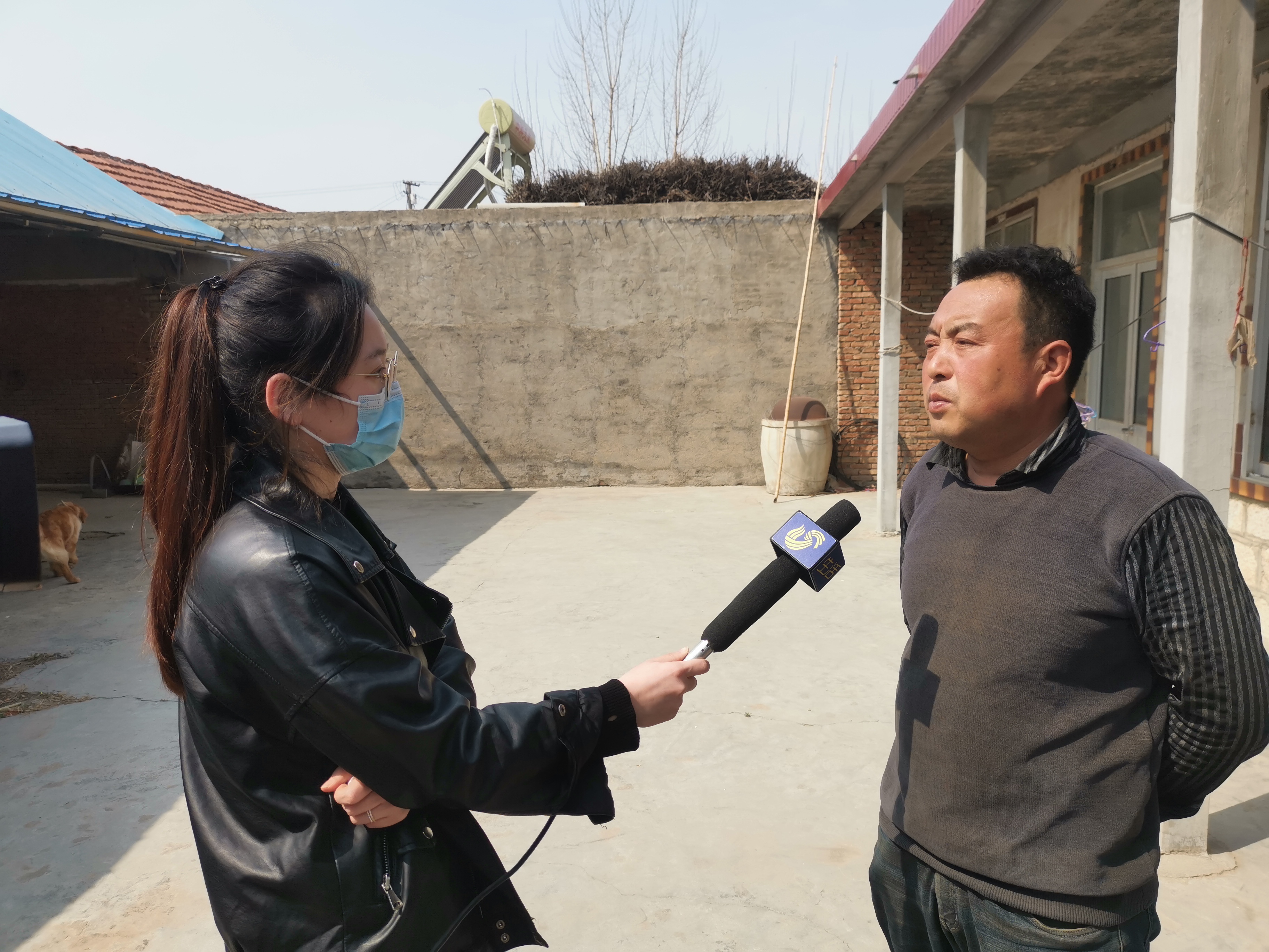 第209所 平度市崔家集镇状元府天行手机平台刘丽新小学