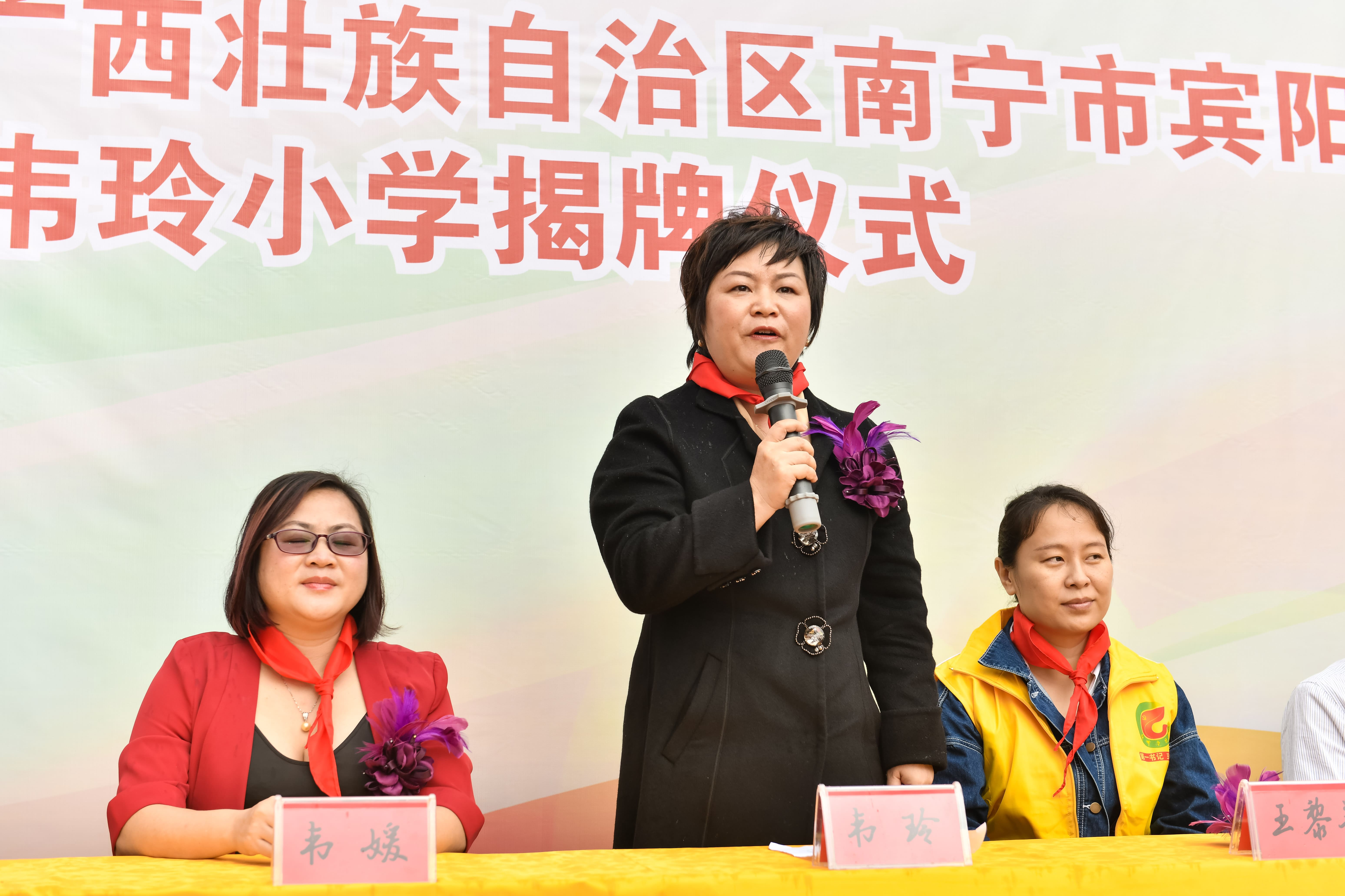 第184所  南宁市宾阳县思陇镇昆仑村天行手机平台韦玲小学